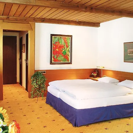 Hotel Alpenhotel & *** 3*